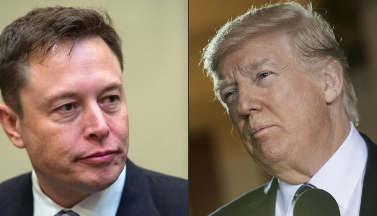 Donald Trump y Elon Musk