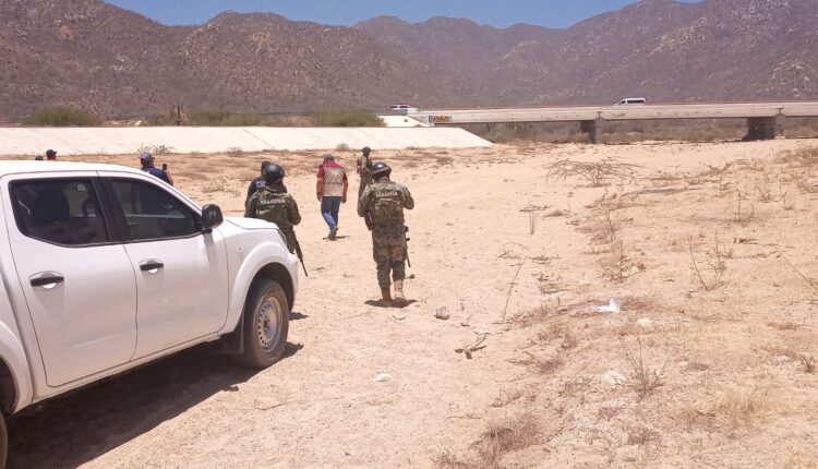 Gira Los Cabos