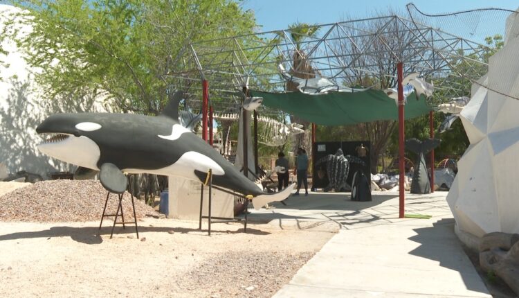 Museo de la ballena