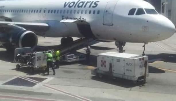 Vuelo en SJC