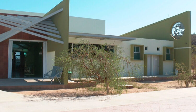 Universidad tecnologica rector