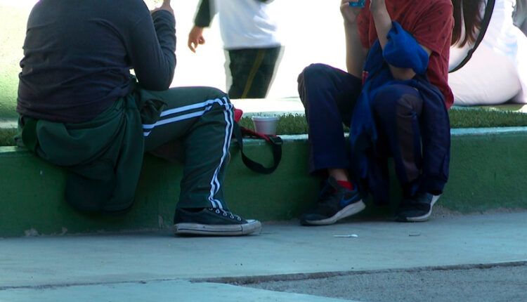 Brotes escuelas BCS