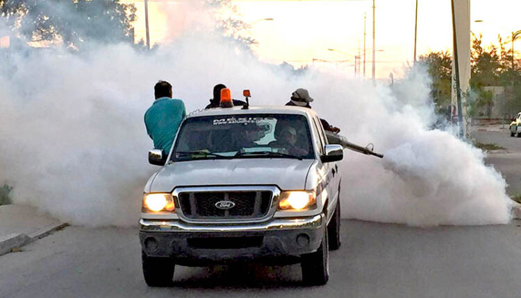 Jornada de fumigación en Loreto
