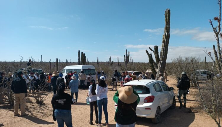 Colectivos de búsqueda