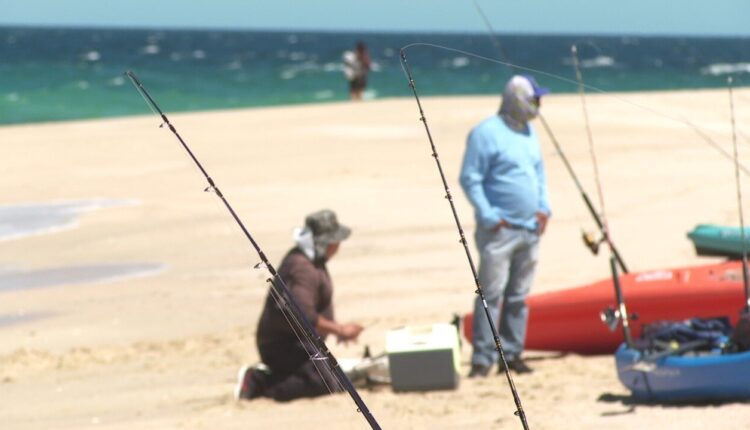 Torneo de pesca dejará importante derrama económica: Fonmar