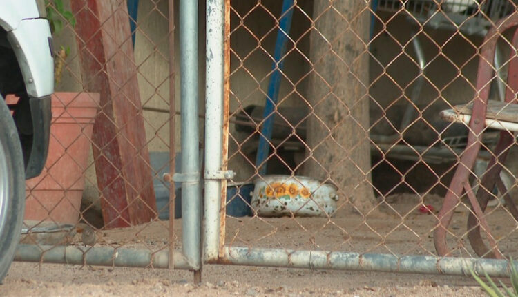 Maltrato animal en La Paz