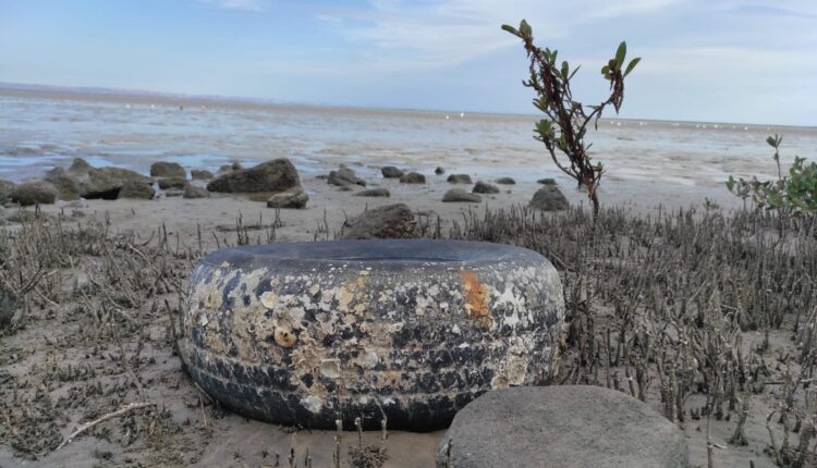 Llantas en la desembocadura del arroyo El Cajoncito