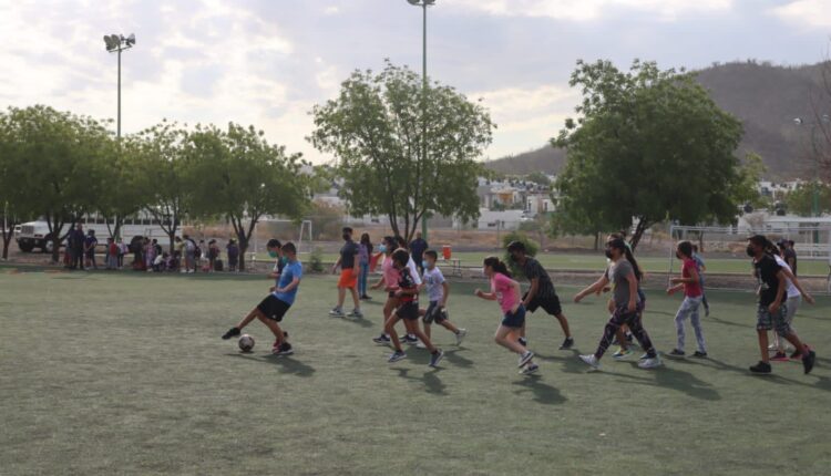 Curso de Verano del CEDEM