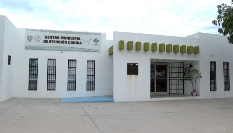 Centro Municipal de Atención Canina de La Paz