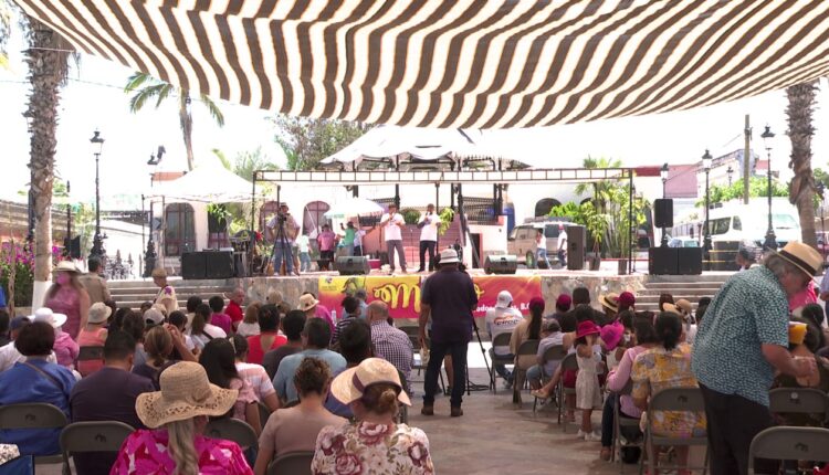 festival del mango