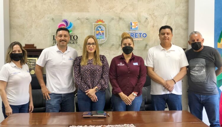 presidium desafio rosa loreto