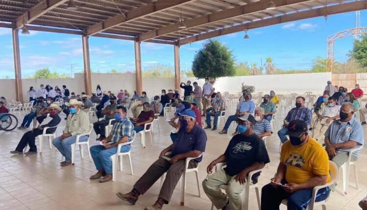 Quinta ola de contagios ya lleva seis semanas