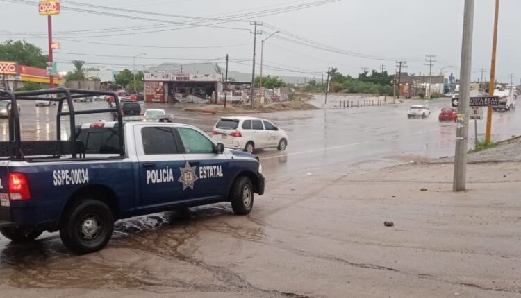 Unidades de Policía Estatal