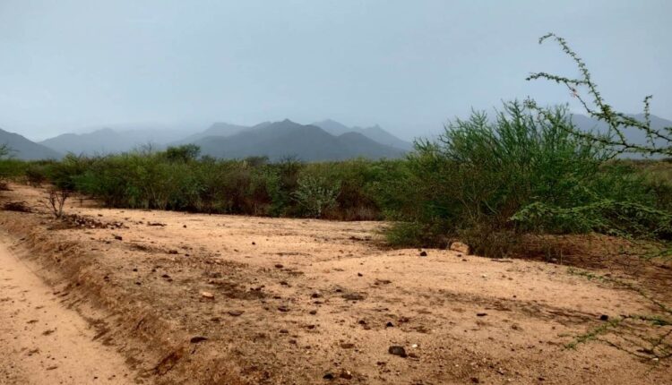 Lluvias en campos agrícolas de BCS