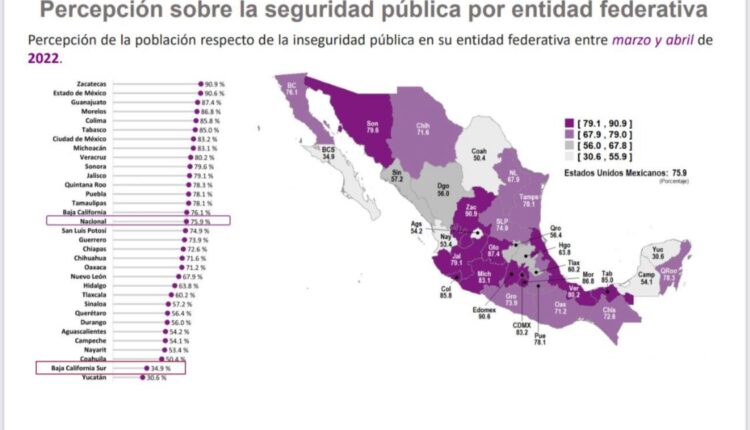 Infografía de percepción de seguridad en BCS