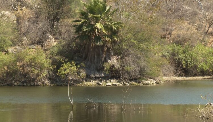 Acuífero en Baja California Sur