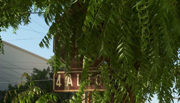 Las ramas de los arboles limitan la visibilidad de las señales de tránsito