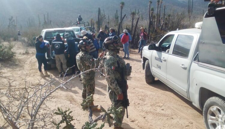 No se han dejado de investigar desapariciones