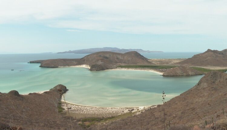 Balandra