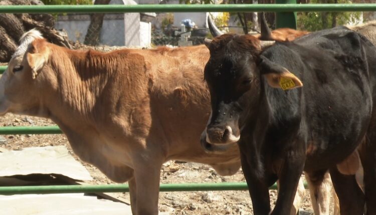 Zonas rurales de BCS