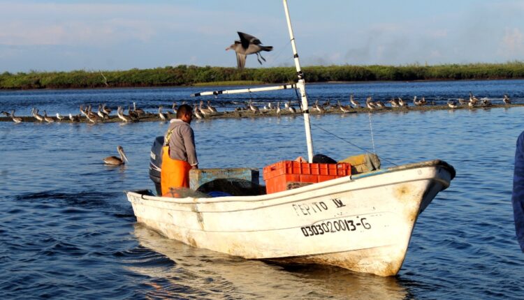 Pescador en bahía de La Paz