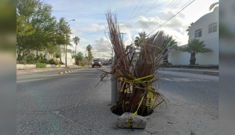 La alcantarilla representa riesgo para automovilistas y peatones