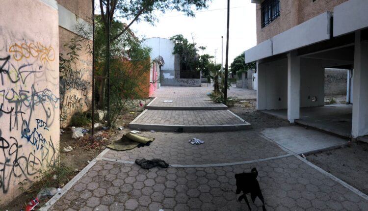 andadores el pedregal con basura y grafiteados