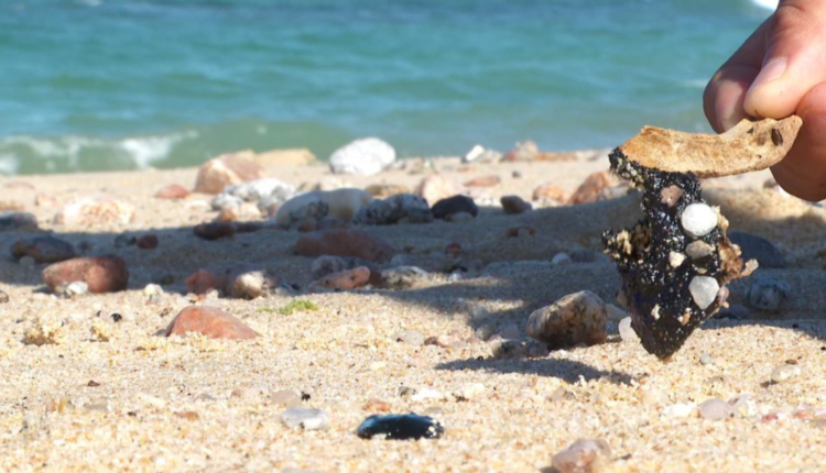 La Profepa indicó que no se encontraron partículas de hidrocarburos en el mar