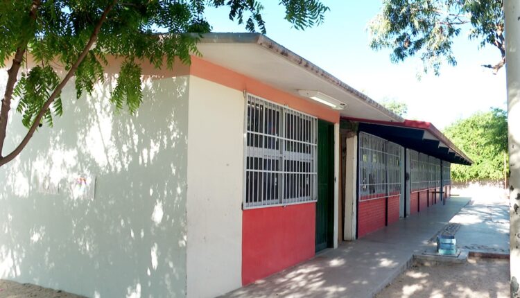 Los trabajadores de la educación en Baja California Sur continúan en paro laboral