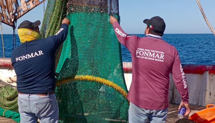 Operativo de Fonmar en barcos camaroneros