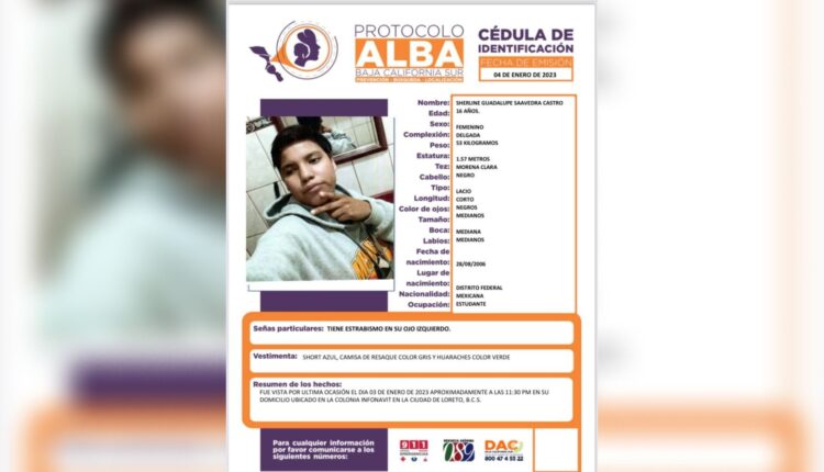 Ficha de búsqueda de Sherline Guadalupe Saavedra Castro