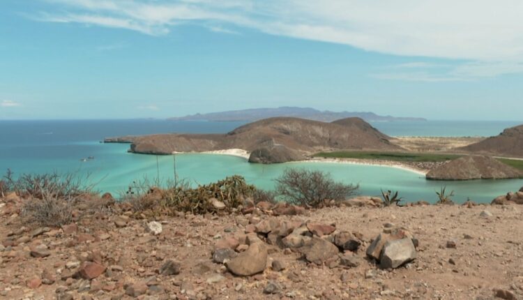 Imagen de la playa Balandra