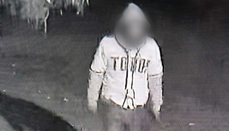 Ladrón de una camioneta en Perlas del Golfo es captado por cámaras de seguridad.
