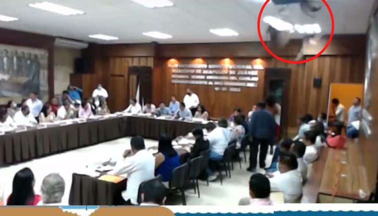 Mapache cayendo del techo en el Ayuntamiento de Acapulco