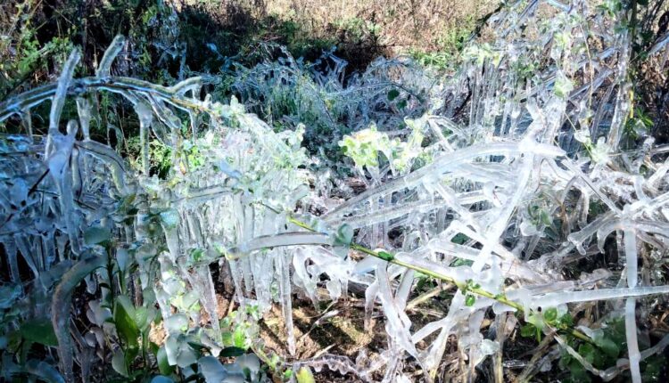 Parcelas con hielo