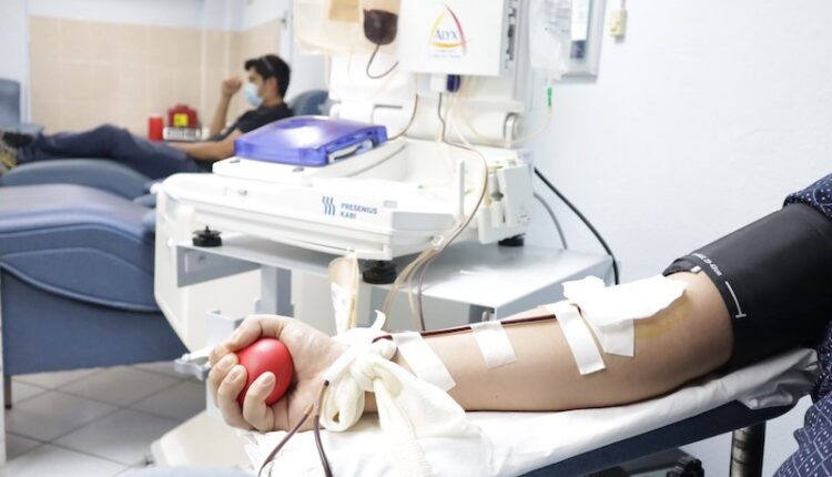 El brazo de una persona mientras sostiene una pelota al momento de donar sangre