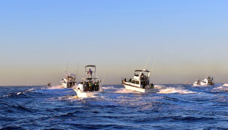 Embarcaciones de pesca deportiva en el mar