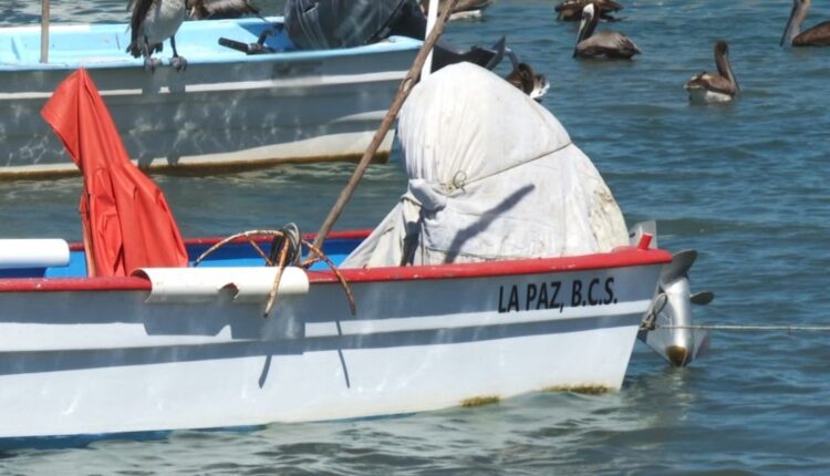 La falta de vigilancia en los mares sudcalifornianos han provocado una serie de problemas por la pesca ilegal