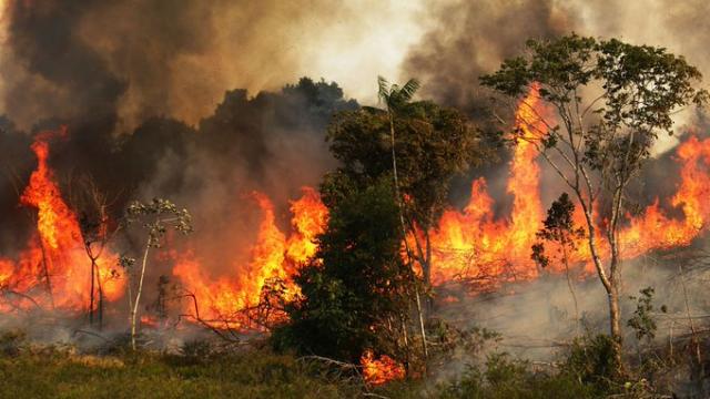 amazonas bajo llamas Brasil bajo presión internacional por los incendios en la Amazonía RIO BRANCO, BRASIL (AFP)