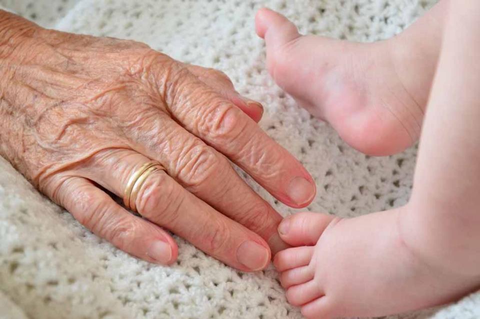 Abuelos que cuidan a sus nietos viven más Abuelos que cuidan a sus nietos viven más