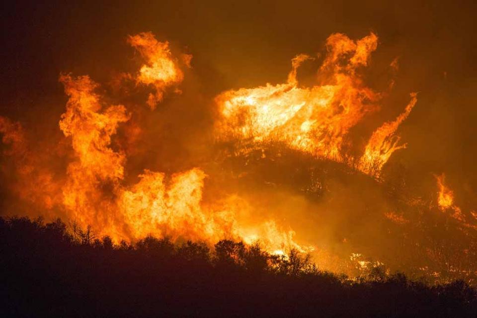 14 mil hectáreas en Baja California son afectadas por Incendios 14 mil hectáreas en Baja California son afectadas por Incendios