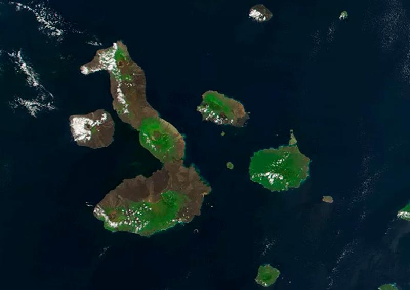 2020-03-02-Galapagos Retiran más de 8 toneladas de basura de islas de Galápagos