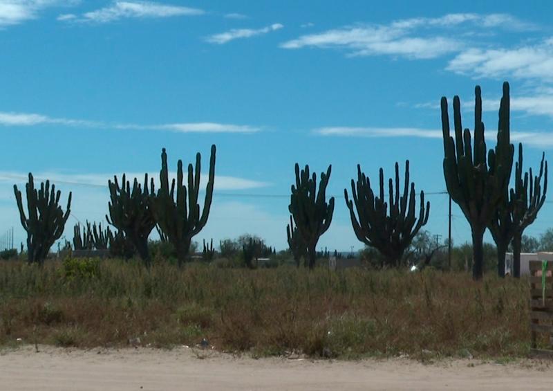 2020-03-03-LosPinos Se compromete Rubén Muñoz a destinar recursos a Colonia Los Pinos