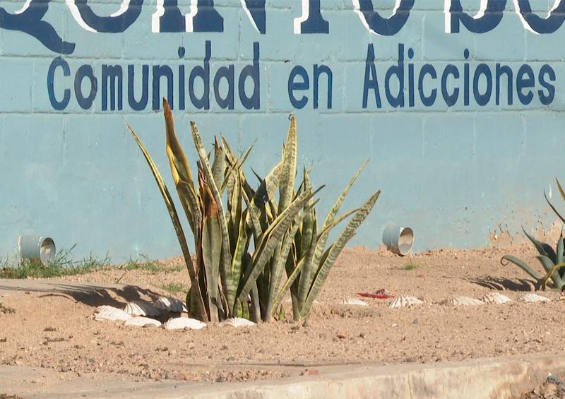2020-03-04-Drogas El 70% de internos en anexos van por consumo de marihuana o cristal