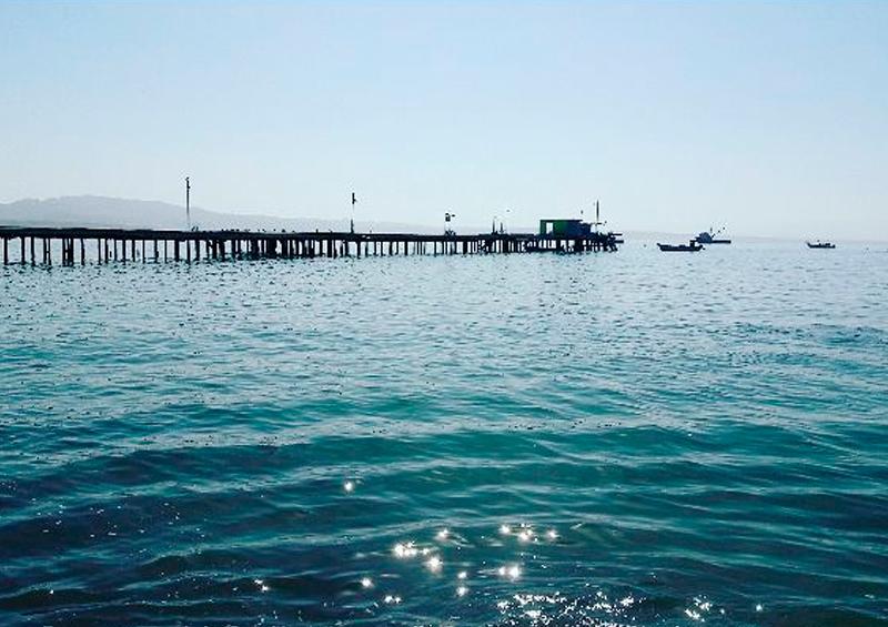 Bahía Tortugas Decretan toque de queda en Bahía Tortugas por coronavirus