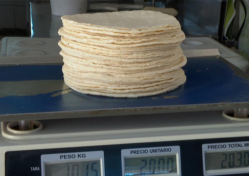 tortillas Sancionará Profeco a tortillerías que incrementen sus precios