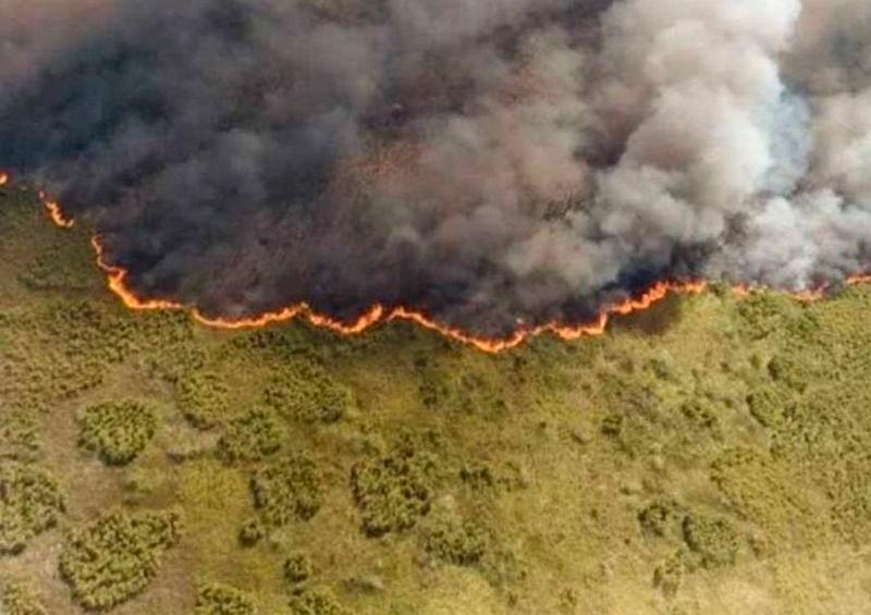 incendio Tratan de apagar 35 incendios forestales en México
