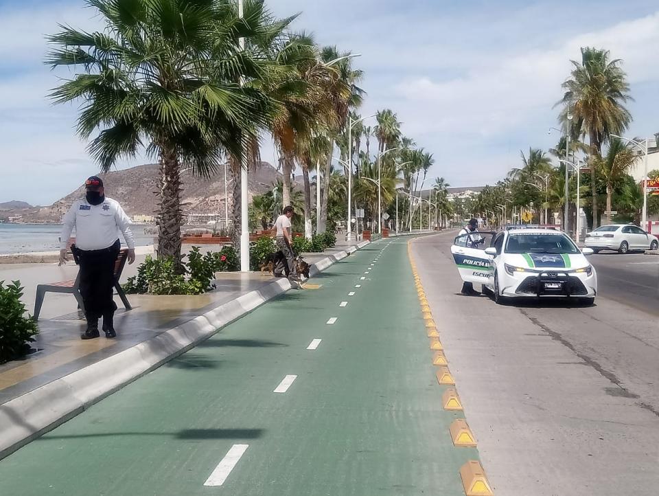 Cierre del Malecón de La Paz Continúan sin acatar el cierre del malecón