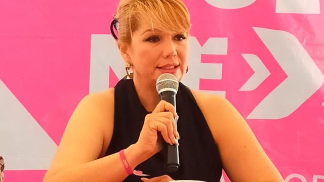 15-wayas Propone Elizabeth Wayas, Casas Rosas
